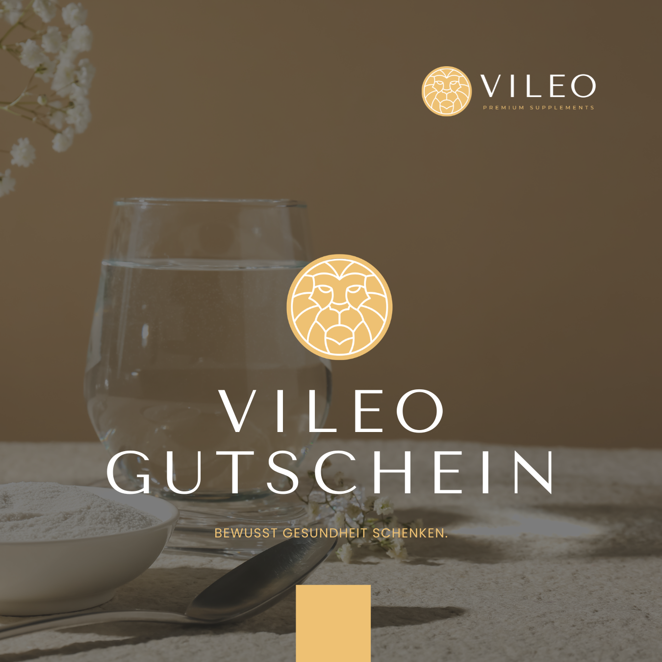 VILEO Gutschein